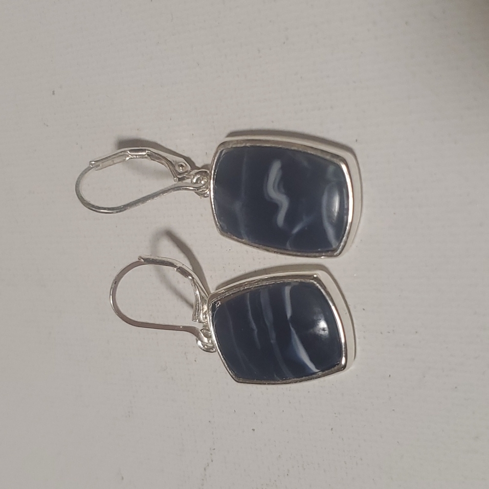 9 west blue and silver dangle earrings